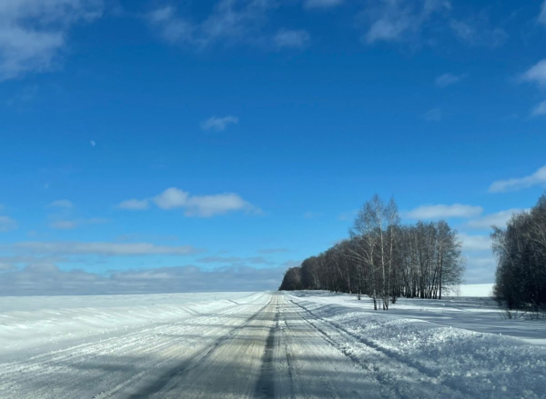 В Орловской области проверка школьных маршрутов обернулась делом