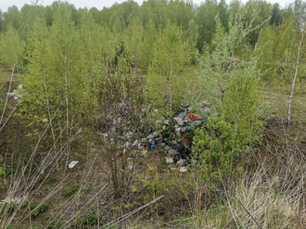 В Шаблыкинском районе ликвидировали незаконную свалку ТБО